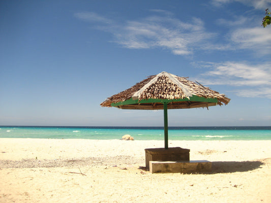 Canon Digital IXUS 65