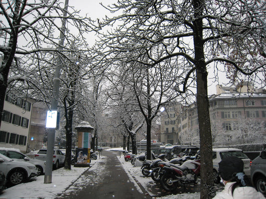 Canon IXY DIGITAL 900 IS