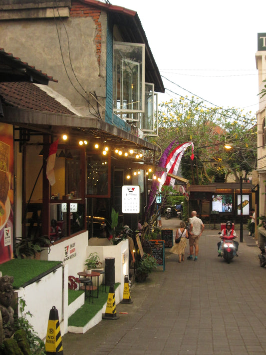 Canon PowerShot A2500