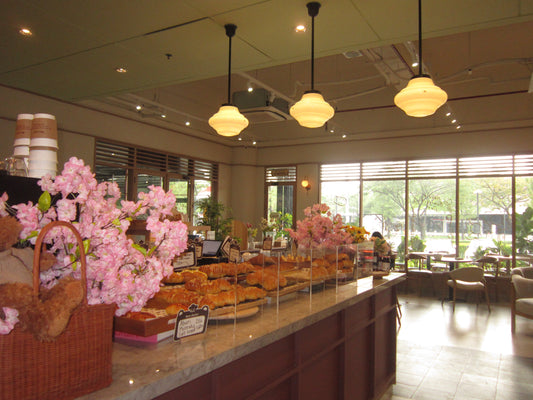 Canon PowerShot A3300 IS