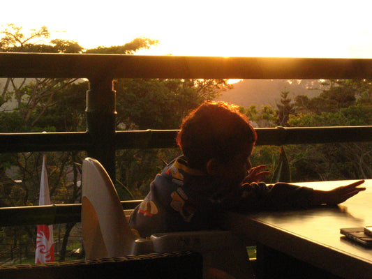 Canon PowerShot A710 IS