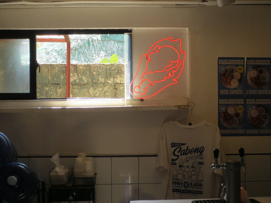 Canon PowerShot ELPH 320 HS