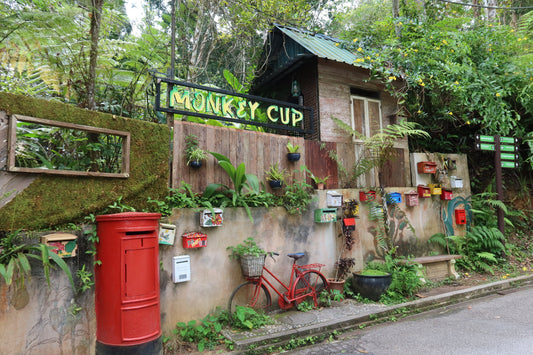 Canon PowerShot G7 X Mark III