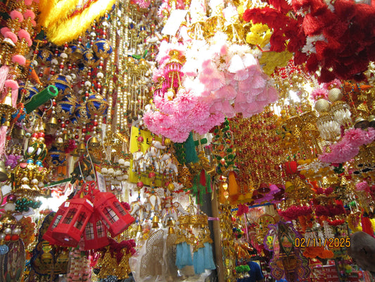 Canon PowerShot SD980 IS