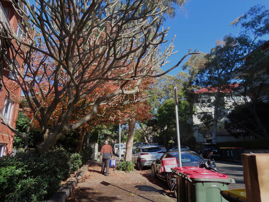 Canon PowerShot SX740 HS