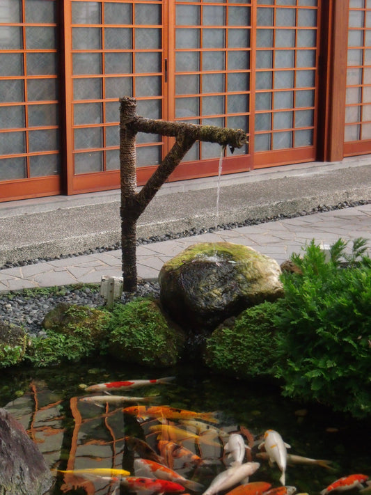 Fujifilm Finepix J100