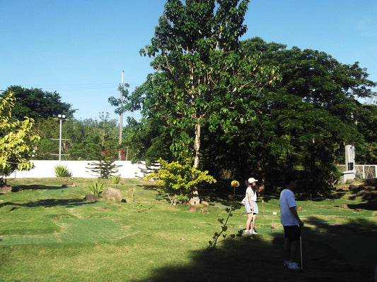 Fujifilm Finepix L50