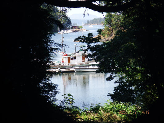 Fujifilm Finepix XP200