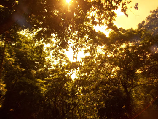 Kodak Easyshare C183