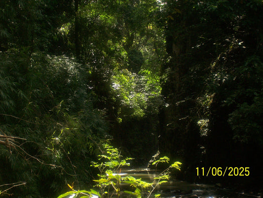 Kodak Easyshare C330