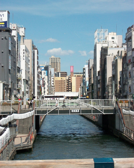 Kodak Easyshare M320