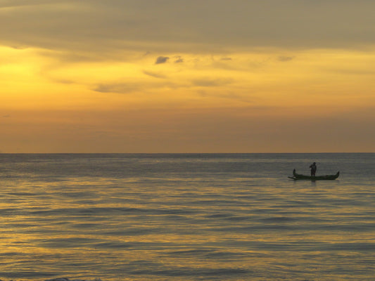 Sony CyberShot DSC-H70