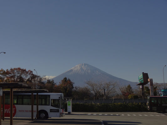 Sony CyberShot DSC-HX9V