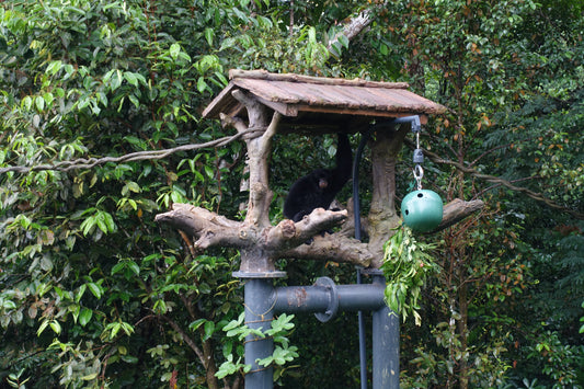 Sony CyberShot DSC-RX100 M3