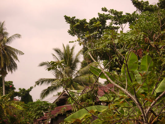 Sony CyberShot DSC-S700