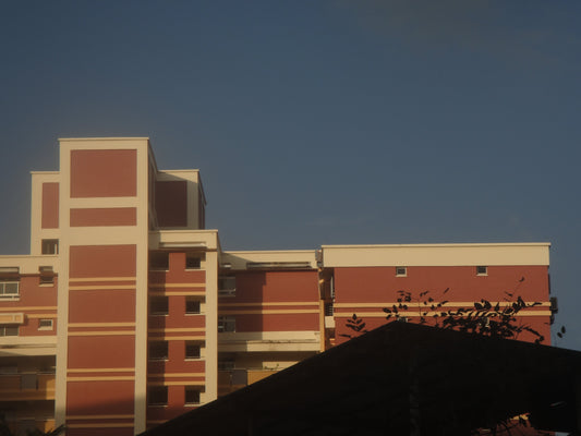 Sony CyberShot DSC-TX1