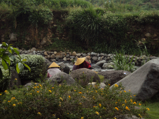 Sony CyberShot DSC-W180