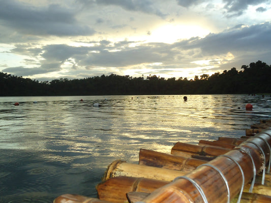 Sony CyberShot DSC-W320