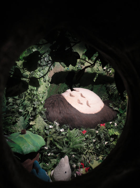 Sony CyberShot DSC-W350