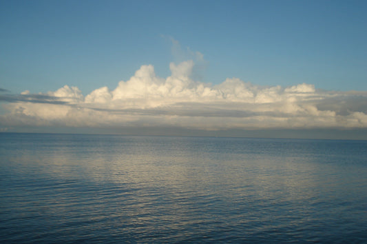 Sony CyberShot DSC-W50