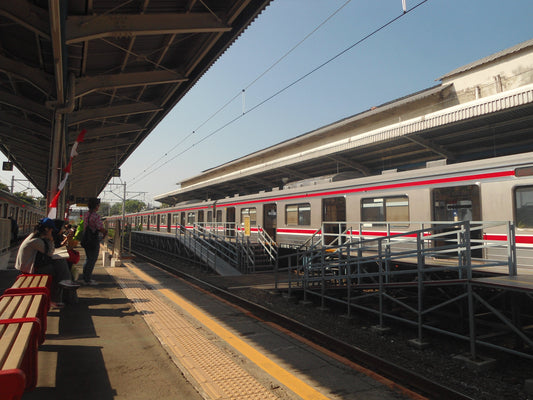 Sony CyberShot DSC-W510