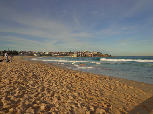 Sony CyberShot DSC-W630