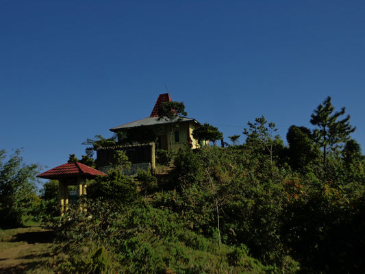 Sony CyberShot DSC-W650