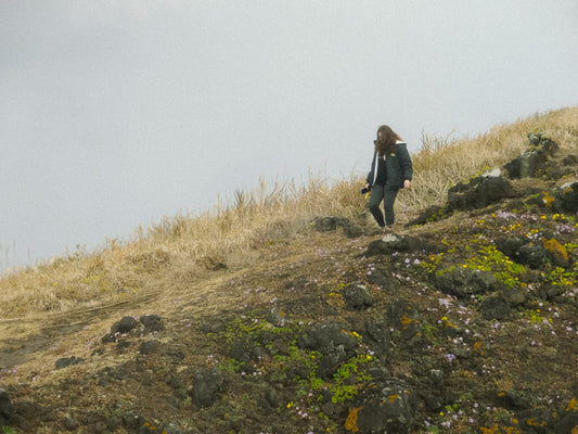 Sony CyberShot DSC-WX170