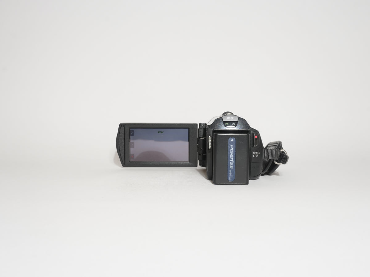 Sony HDR-CX500